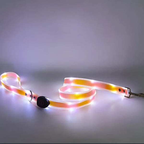 PoochDazzle - Reflective Dog Collar