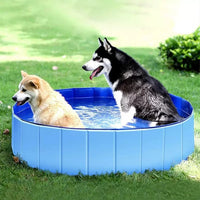 Jetjow - Dog Swimming Pool
