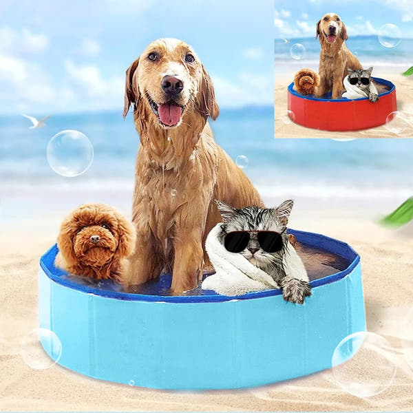 Jetjow - Dog Swimming Pool