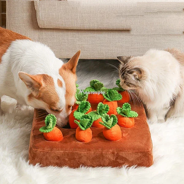 SniffPatch™ – Interactive Carrot Field for Dogs