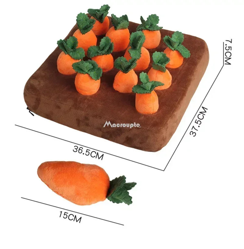 SniffPatch™ – Interactive Carrot Field for Dogs