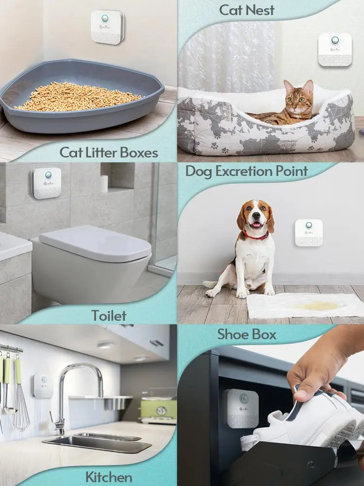 OdorOff - Cat Odor Purifier