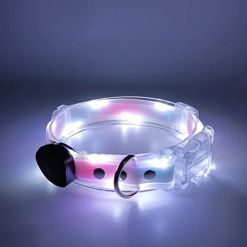 PoochDazzle - Reflective Dog Collar