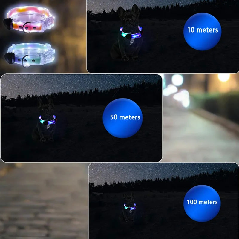 PoochDazzle - Reflective Dog Collar