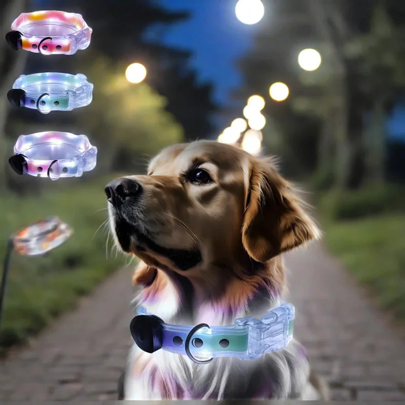 PoochDazzle - Reflective Dog Collar