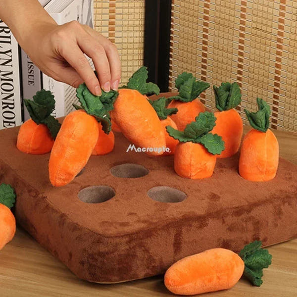 SniffPatch™ – Interactive Carrot Field for Dogs