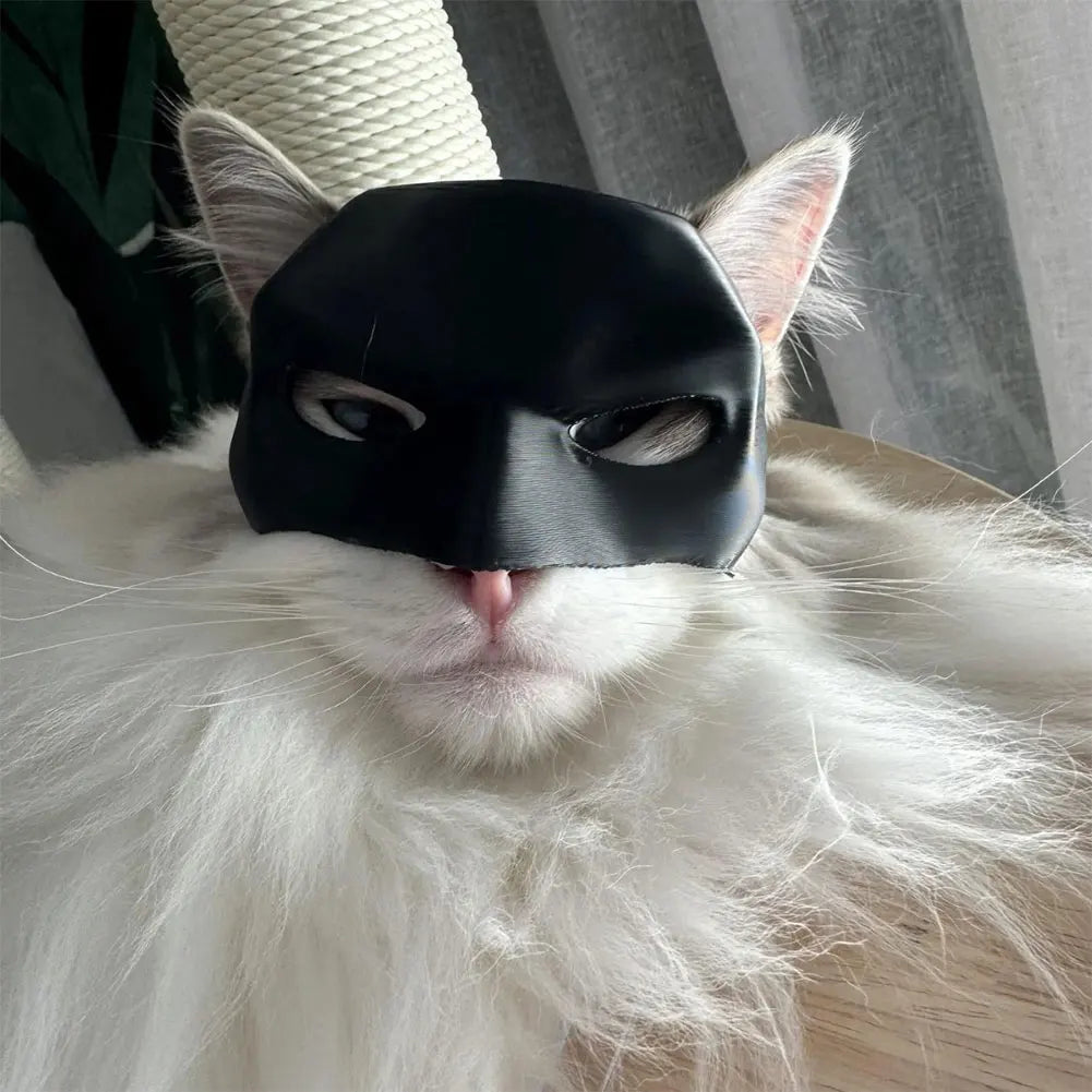 BatVenture Mask – Costume for Cats