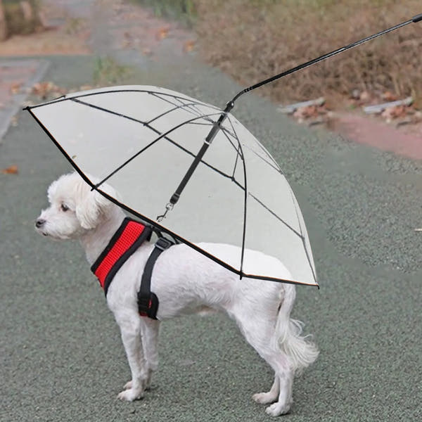 K9cover - Dog Umbrella