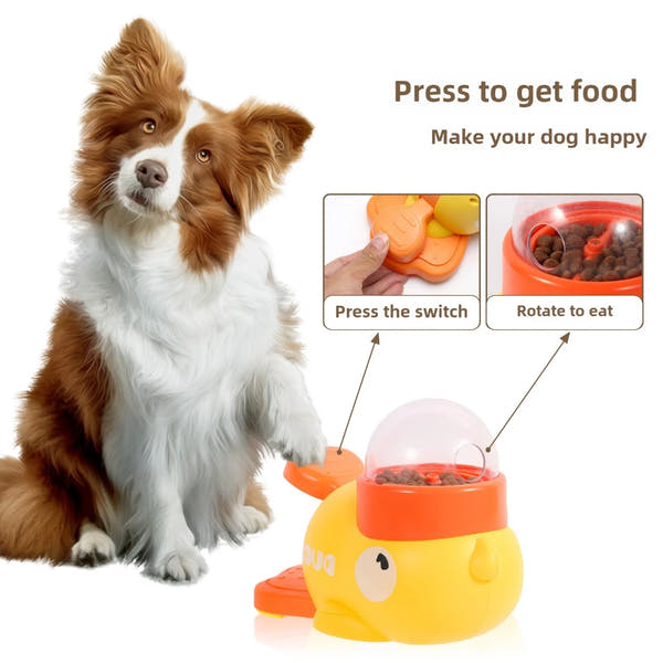 QuackSnack – Duck-Shaped IQ Feeder Toy