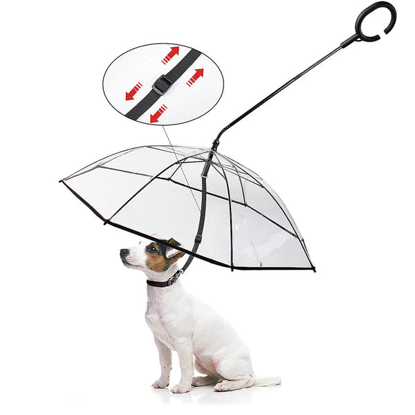 K9cover - Dog Umbrella