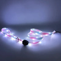 PoochDazzle - Reflective Dog Collar