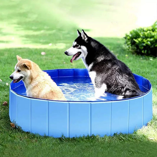Jetjow - Dog Swimming Pool