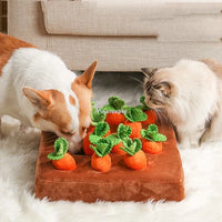 SniffPatch™ – Interactive Carrot Field for Dogs