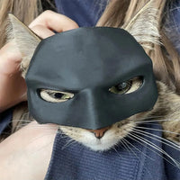 BatVenture Mask – Costume for Cats