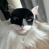 BatVenture Mask – Costume for Cats