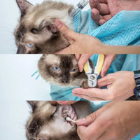 PurrEase Bag - Adjustable Cat Grooming Harness