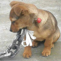 PawTrek: Durable Dog Traction Chain